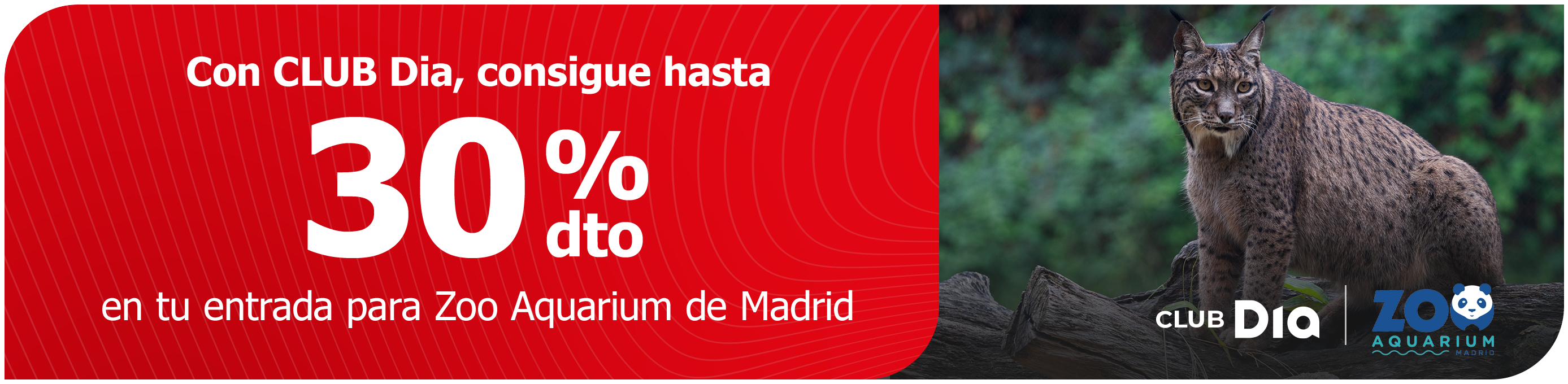 CLUB Dia te lleva a explorar la vida salvaje en Zoo de Madrid CLUB Dia te lleva a explorar la vida salvaje en Zoo de Madrid